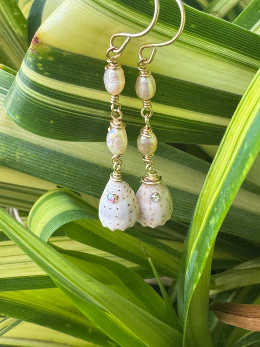 Speckled Shore